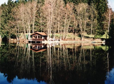 scharbererweiher